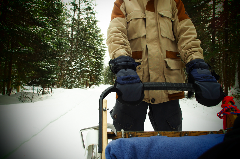 Illustration for article titled Where the Dogs Are: A Dogsledding Photo Diary